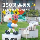 애견백화점 동탄점 | 동탄 롯데백화점 애견동반 카페 350평 천연잔디 애견운동장! >ㅇ<