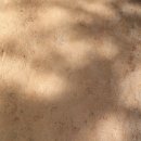 운남한의원 이미지