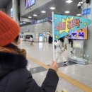 (공지취소)5월23일(토) KTX &amp;무궁화호 제천 기차여행 +제천 5일장+한약 탕제+의림지 트레킹 +제천 중앙시장 탕 이미지