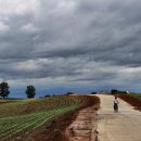 안성농장 이미지