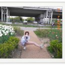 화명생태공원(화명운동장 내) 이미지