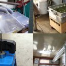 철원제분소 이미지