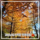 경남야생동물센터 | 🍁 아이와 가볼만한 곳 경상남도수목원 단풍 절정 방문 후기