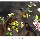 아름다운연출 이미지