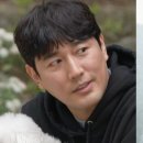펫샵 이미지