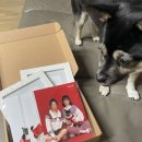 문래 사진관 셀프 가능한 프레임그라운드 스튜디오 애견동반 촬영후기