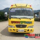 한국체대 양지 태권도 이미지