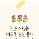 썬카페 네이버블로그