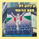 경주여행 가볼만한곳 경주시내 금리단길 벽화 포토존 둘러보기