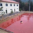 가평힐링캠프 이미지