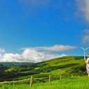 하늘목장 이미지