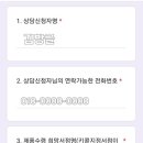 21세기토이 이미지
