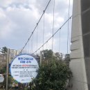 22년 제주여행 (제주투어패스완벽활용기)