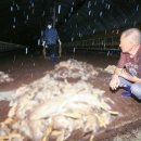 김흥수농장 이미지