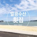 일광해수욕장 뷰가 한눈에 보이는 일광수산횟집 내돈내산 후기