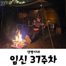 자담치킨범어점 | 임신 37주 마지막 놀기♥ 막달 2박3일 캠핑, 벚꽃놀이