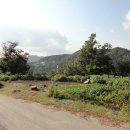 광탄공인중개사사무소 이미지