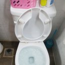 백신애문학비 이미지