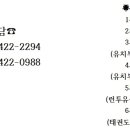 계명대강한태권도 이미지