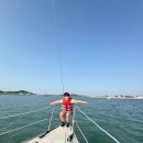 아이들과 안산 요트 체험! 갈매기에게 새우깡 주기 대성공