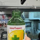 일본 국내 버스투어 HIS 야마나시현 패키지여행 후기