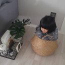 30%~50% 세일 시작합니다! 해초바구니 / 로바트 / 펌비링 / 블루밍빌 / 러그솔리드