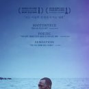문라이트(moonlight) | (영화 리뷰) <문라이트>(2016)Moonlight 감상문