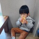 영월치과의원 이미지