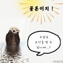 695 | ✏️토익 한 달 반 독학으로 695➡️905 달성 후기/ 공부법/ 꿀팁 (광고 절대아님)
