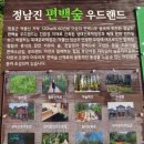 장흥 산벚나무길 | ●장흥우드랜드 ~ 억불산(518M)명풍테마길 후기