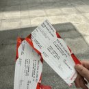 양다일 콘서트 다일랜드 후기