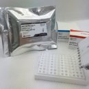 바이오닉스 이미지