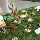 도시숲 | 세종 박연문화관 전시 :: 국립세종수목원 협력전 <도시의 숲, 도시의 숨> 관람 후기