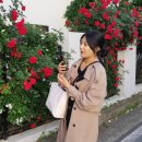 영진궁전 이미지