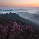 강산 이미지