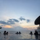 아일랜드리솜 이미지