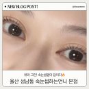 울산 중구 속눈썹펌 잘하는 곳 | 속눈썹하는언니 본점 솔직후기