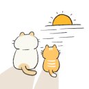 인투게코