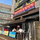 오거리회포차 | 성남 쭈꾸미 샤브샤브 &amp; 고등어회 만남실내포장마차 내돈내산