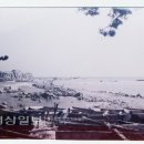 영은목장 이미지