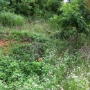 원스농장 이미지