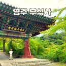 부석사관광안내소 | 영주 부석사 - 은행나무 유래 소백산 무량수전 불상 국보 해설 후기