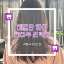 헤르만헤어 - 의정부시 | 의정부민락 미용실추천! 미용실유목민이 정착한 헤르만헤어 의정부 솔직후기!(레이어드컷)