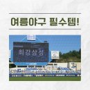 여름 야구를 버티는 필수템 추천! (5/31,삼성라이온즈파크 후기 포함)