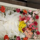 안성동인병원 | [안성 동인병원 장례식장] 가족장 진행 후기