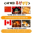 세계다문화박물관 이미지