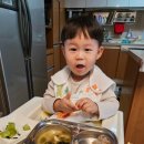 [육아일기] 864일, 273일 - 왕할머니 만나고왔어요!엄마껌딱지들