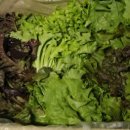 늘푸른농장2 이미지