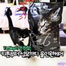 맛동산오늘밥상 | 대용량 고양이사료 캐츠아이 키튼앤캣, 가성비 좋은 길고양이 다묘가정 전연령 사료