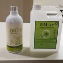 초록빛유치원 이미지